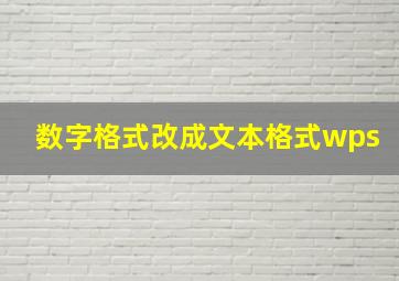 数字格式改成文本格式wps