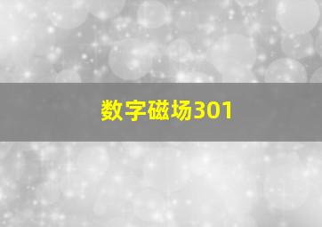 数字磁场301