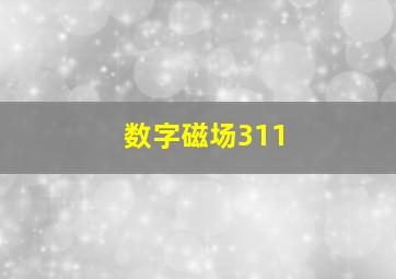 数字磁场311