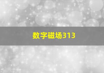 数字磁场313