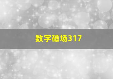 数字磁场317