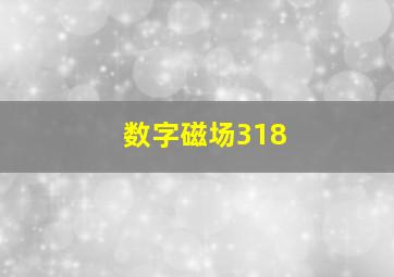 数字磁场318