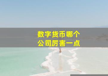 数字货币哪个公司厉害一点