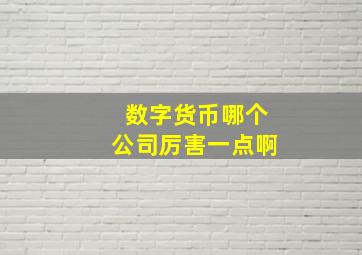 数字货币哪个公司厉害一点啊