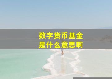 数字货币基金是什么意思啊