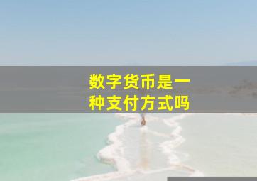 数字货币是一种支付方式吗