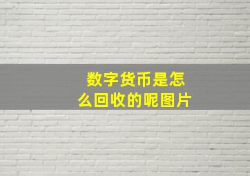 数字货币是怎么回收的呢图片