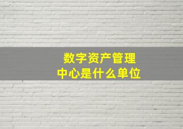 数字资产管理中心是什么单位