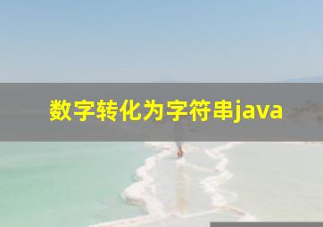 数字转化为字符串java