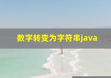 数字转变为字符串java