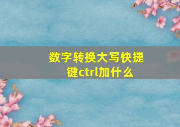 数字转换大写快捷键ctrl加什么