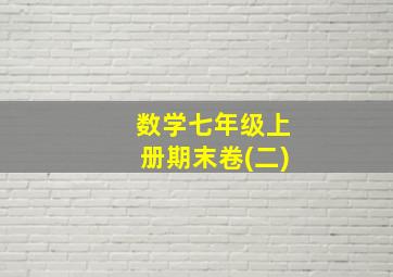 数学七年级上册期末卷(二)