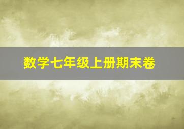 数学七年级上册期末卷