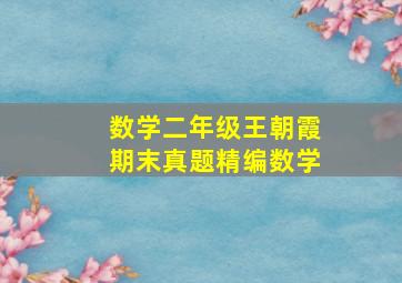 数学二年级王朝霞期末真题精编数学