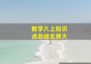 数学八上知识点总结北师大