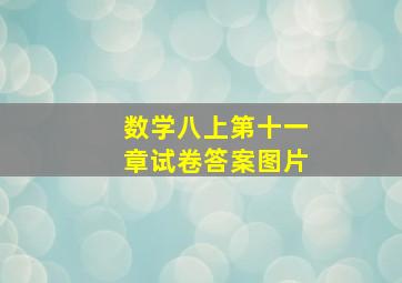 数学八上第十一章试卷答案图片