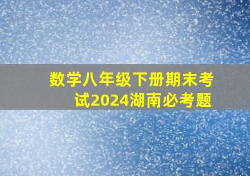 数学八年级下册期末考试2024湖南必考题