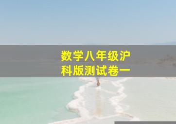 数学八年级沪科版测试卷一