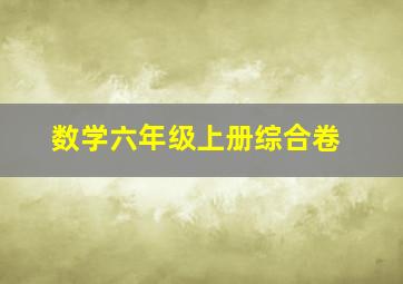 数学六年级上册综合卷