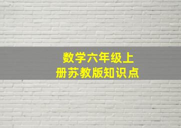 数学六年级上册苏教版知识点