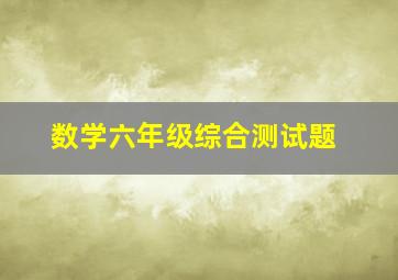 数学六年级综合测试题