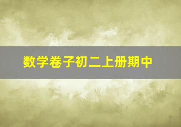 数学卷子初二上册期中