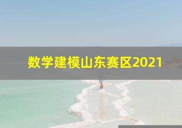 数学建模山东赛区2021