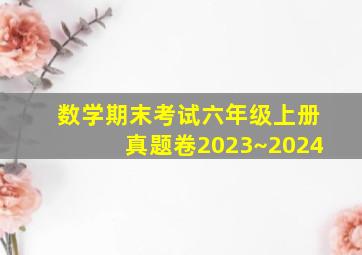 数学期末考试六年级上册真题卷2023~2024