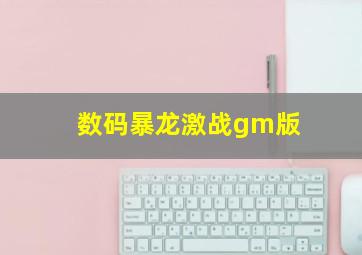 数码暴龙激战gm版