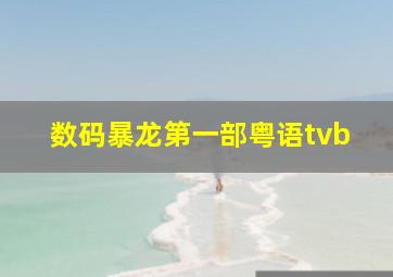 数码暴龙第一部粤语tvb