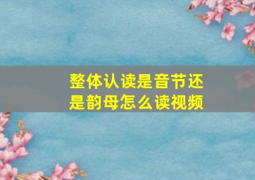 整体认读是音节还是韵母怎么读视频