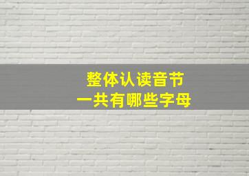 整体认读音节一共有哪些字母