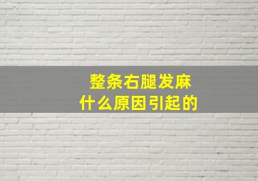 整条右腿发麻什么原因引起的