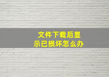 文件下载后显示已损坏怎么办