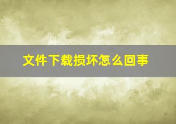 文件下载损坏怎么回事