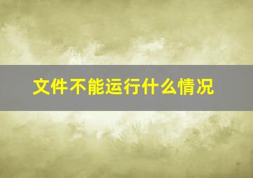 文件不能运行什么情况