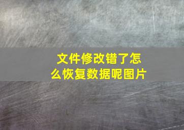 文件修改错了怎么恢复数据呢图片