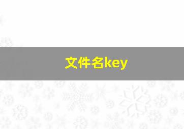 文件名key