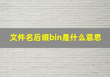 文件名后缀bin是什么意思