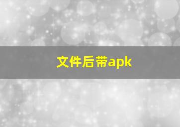 文件后带apk