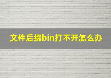 文件后缀bin打不开怎么办