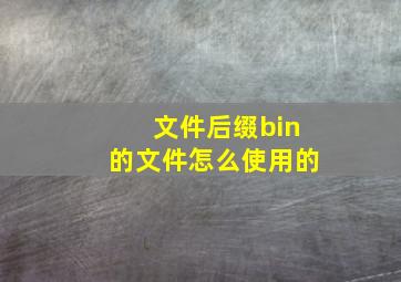 文件后缀bin的文件怎么使用的