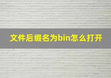 文件后缀名为bin怎么打开