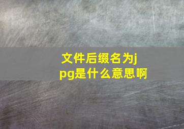 文件后缀名为jpg是什么意思啊