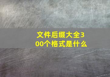 文件后缀大全300个格式是什么