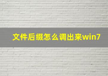 文件后缀怎么调出来win7