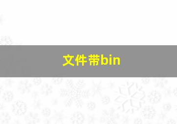 文件带bin