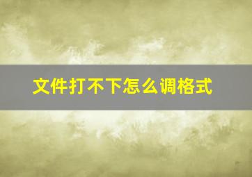 文件打不下怎么调格式