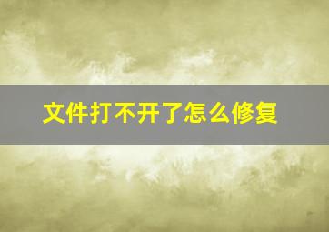 文件打不开了怎么修复