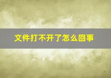 文件打不开了怎么回事